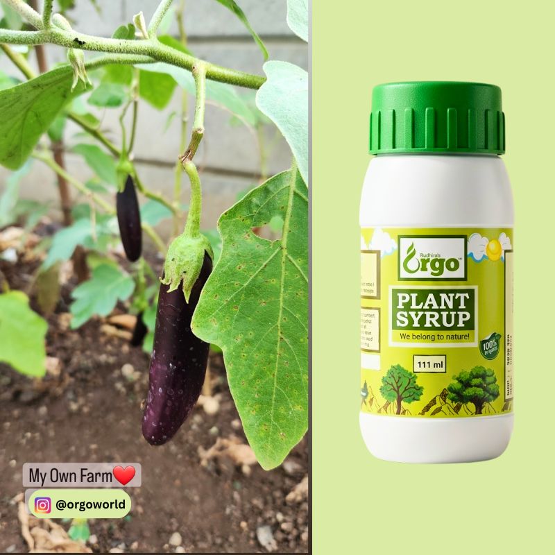 ORGO PLANT SYRUP 100 ML