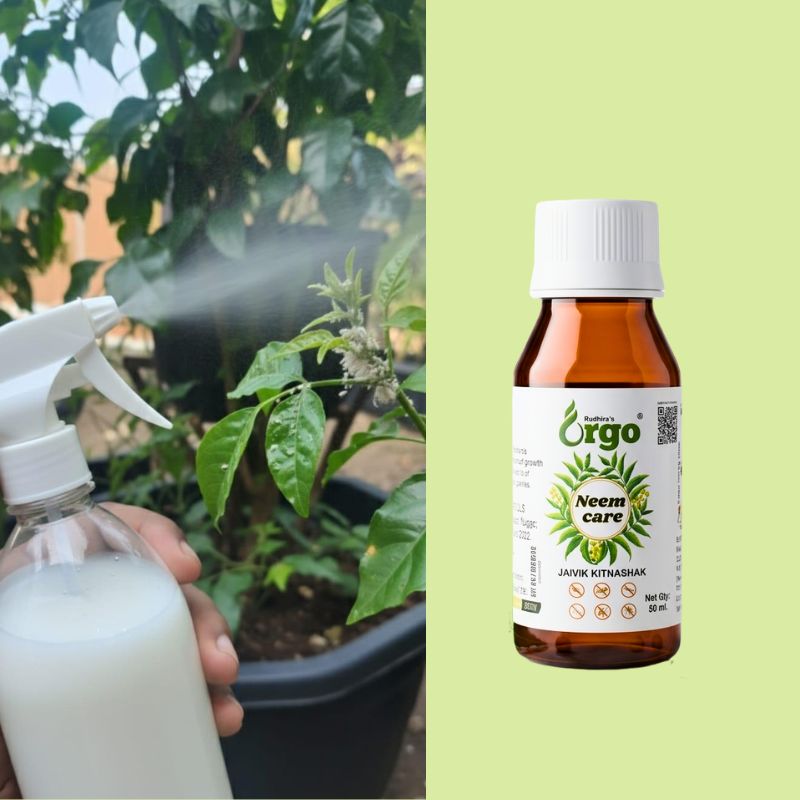 ORGO NEEM CARE 50 ML