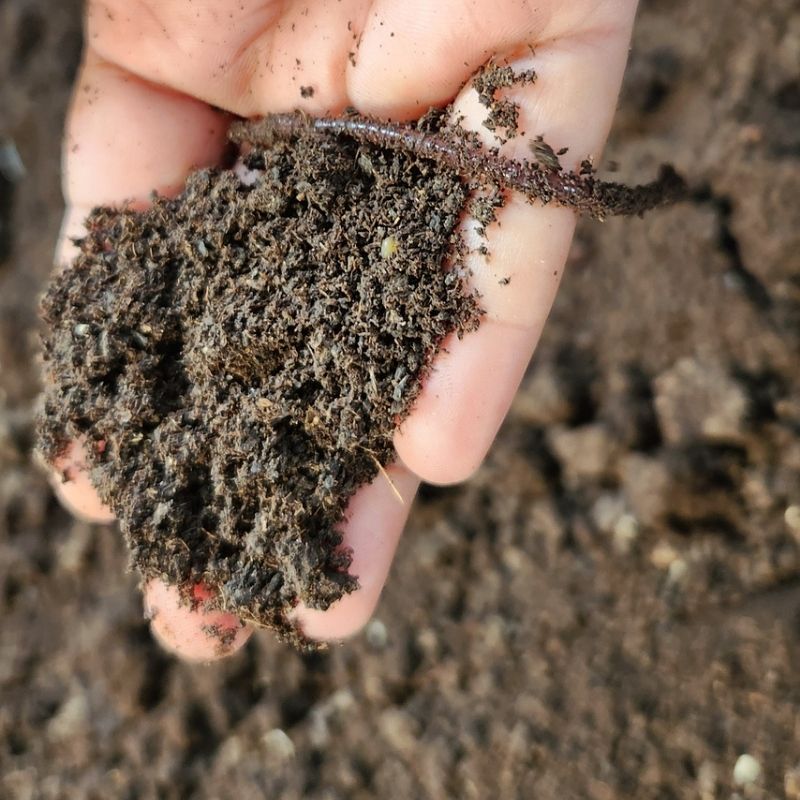 ORGO VERMI COMPOST